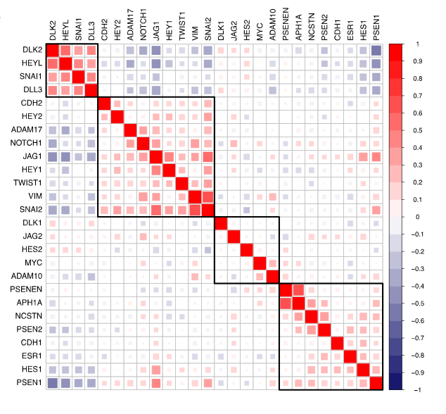 Analysis of Notch1 pathway members and EMT markers in human breast cancer patients.  Correlation plot of Notch1, Notch1 pathway, Notch1 target genes, and dedifferentiation markers in luminal B breast tumors.  Systematic identification of signaling pathways with potential to confer anticancer drug resistance.  Wood et al 2014.