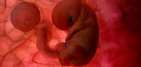 Changes in placenta's protective ability during pregnancy linked to transporter proteins - healthinnovations