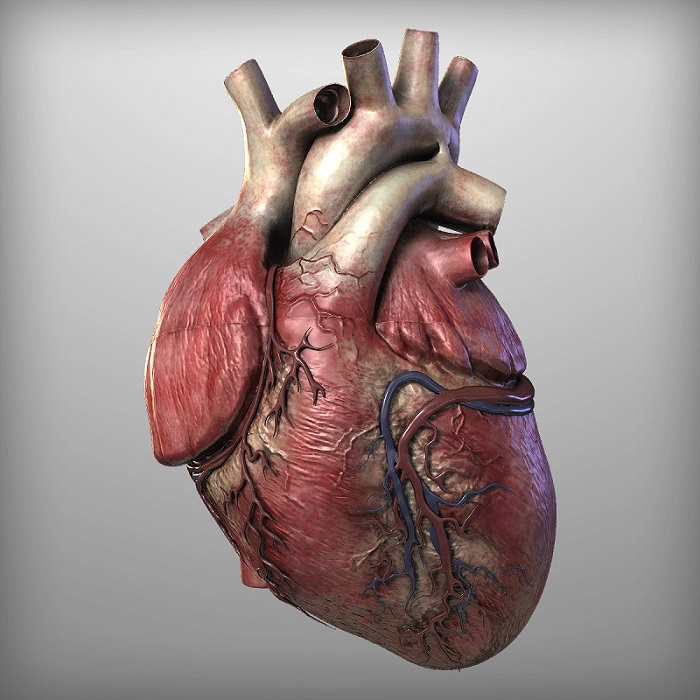 Stanford researchers find sleep gene linked to heart failure - healthinnovations