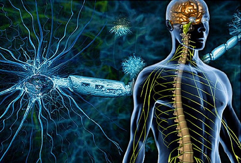 Scientists find genetic cause of multiple sclerosis - neuroinnovations