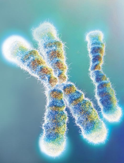 New method detects telomere length for research into cancer, aging - healthinnovations