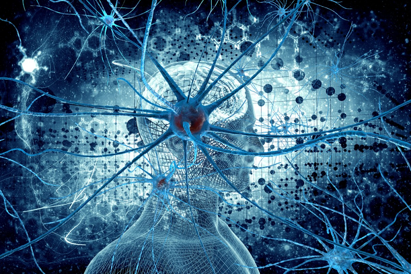 neuro-chip-records-brain-cell-activity-neuroinnovations